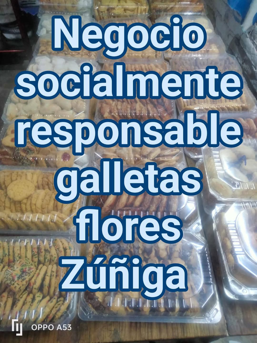 NEGOCIO SOCIALMENTE RESPONSABLE EN VALLE DE SANTIAGO.