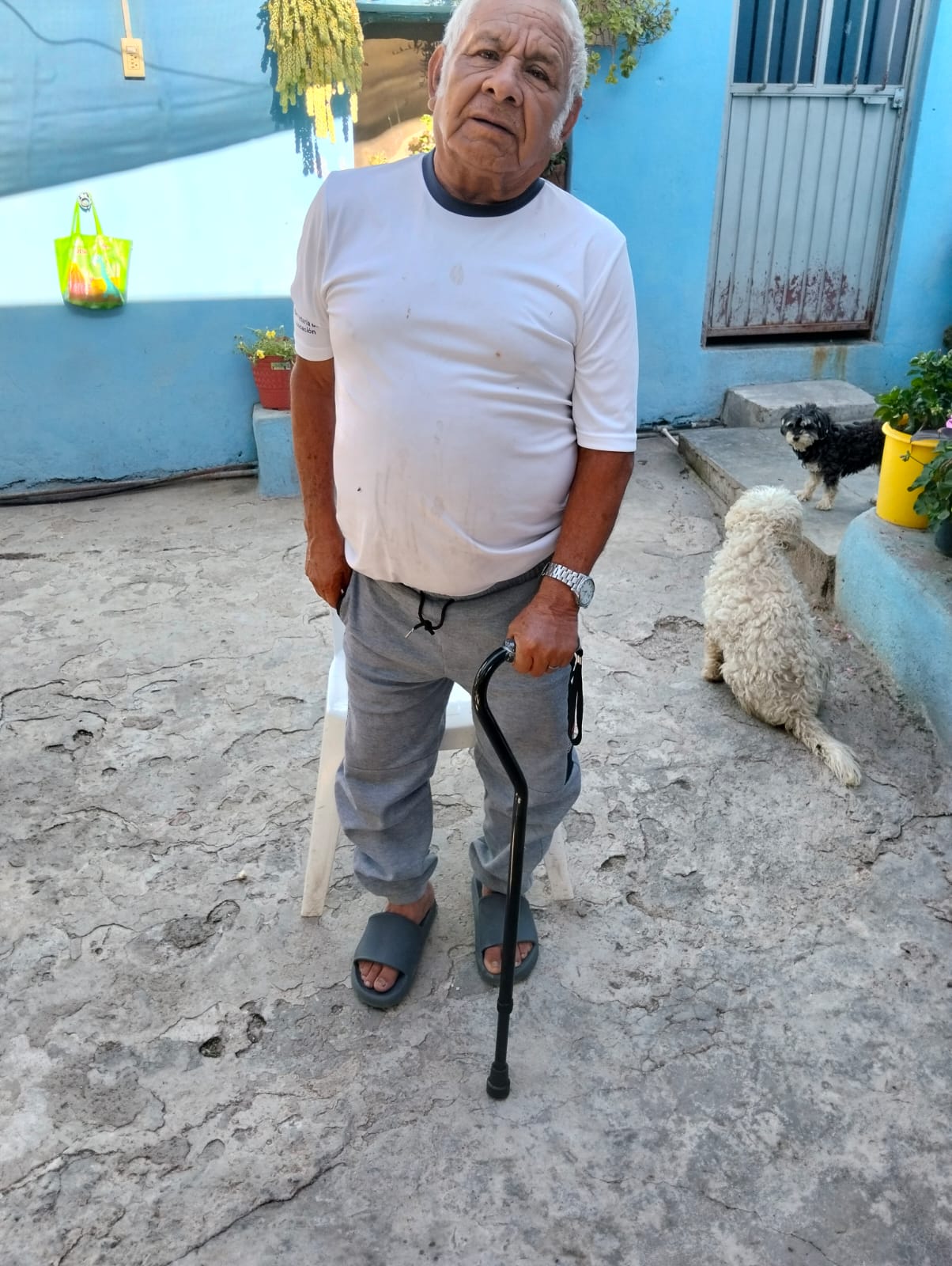 BRIGADA DOMICILIARIA EN CRISSAN VALLE DE SANTIAGO.